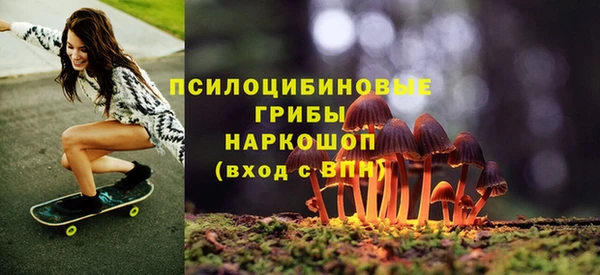 PSILOCYBIN Богородицк